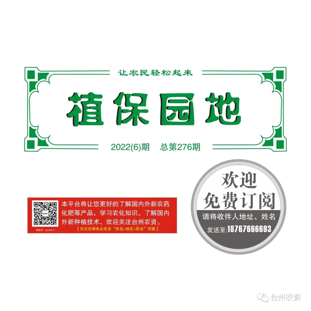 梅雨季節(jié)來臨，柑橘即將穩(wěn)果，注意管理好夏梢，合理施肥打藥